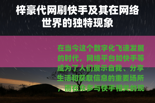 梓豪代网刷快手及其在网络世界的独特现象