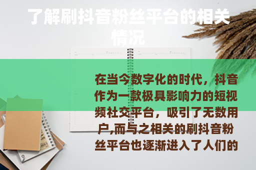 了解刷抖音粉丝平台的相关情况