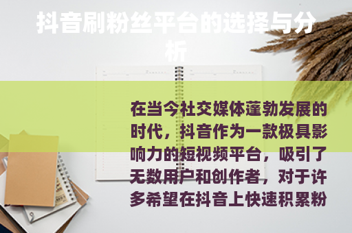 抖音刷粉丝平台的选择与分析