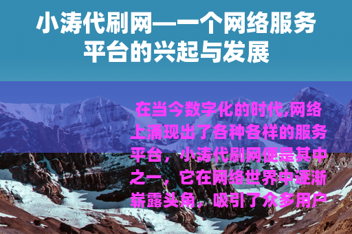 小涛代刷网—一个网络服务平台的兴起与发展