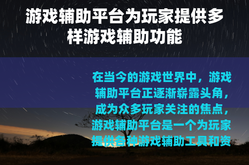 游戏辅助平台为玩家提供多样游戏辅助功能