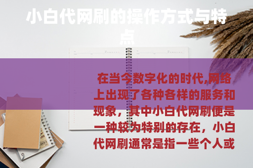 小白代网刷的操作方式与特点