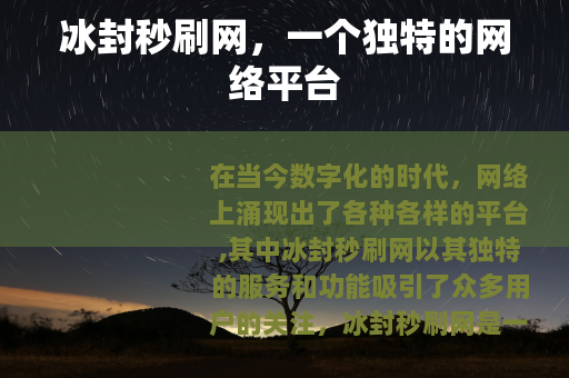 冰封秒刷网，一个独特的网络平台