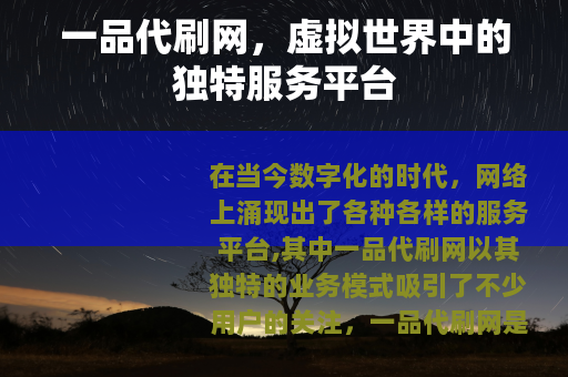 一品代刷网，虚拟世界中的独特服务平台