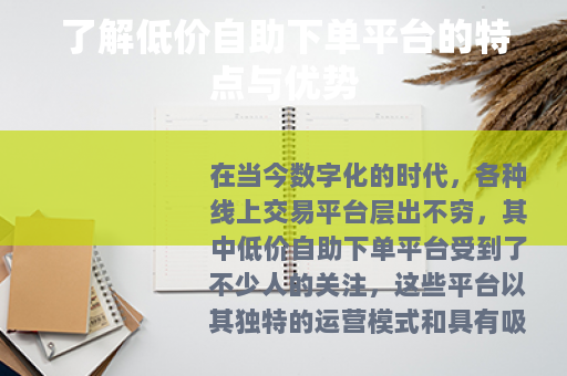 了解低价自助下单平台的特点与优势