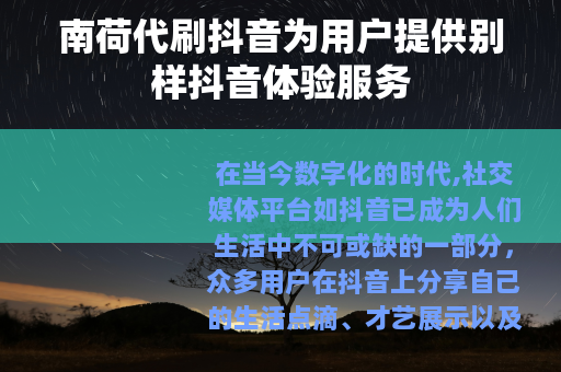 南荷代刷抖音为用户提供别样抖音体验服务