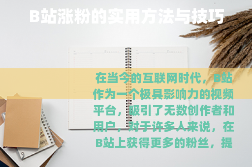 B站涨粉的实用方法与技巧