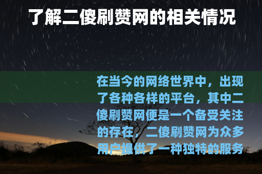 了解二傻刷赞网的相关情况