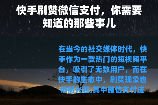 快手刷赞微信支付，你需要知道的那些事儿