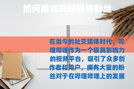 如何增加哔哩哔哩粉丝