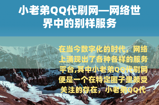 小老弟QQ代刷网—网络世界中的别样服务