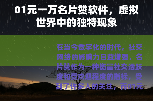 01元一万名片赞软件，虚拟世界中的独特现象