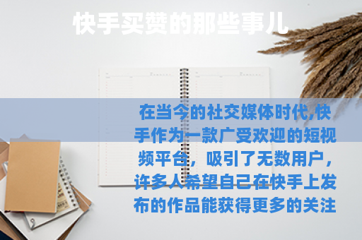 快手买赞的那些事儿