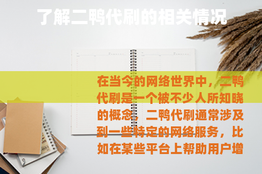 了解二鸭代刷的相关情况