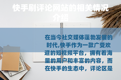 快手刷评论网站的相关情况介绍