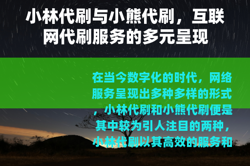 小林代刷与小熊代刷，互联网代刷服务的多元呈现