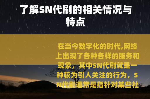 了解SN代刷的相关情况与特点