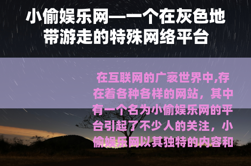 小偷娱乐网—一个在灰色地带游走的特殊网络平台