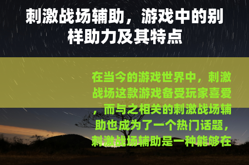 刺激战场辅助，游戏中的别样助力及其特点