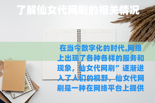 了解仙女代网刷的相关情况