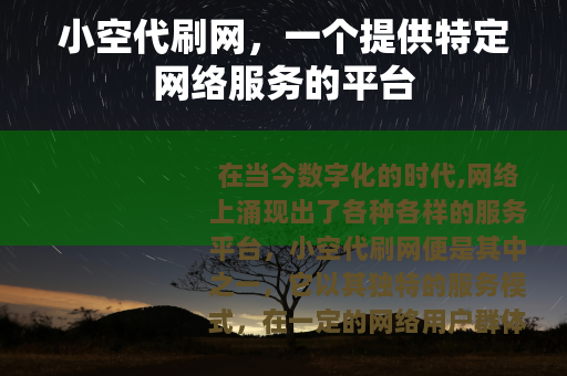 小空代刷网，一个提供特定网络服务的平台