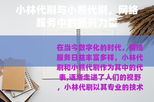 小林代刷与小熊代刷，网络服务中的新兴力量