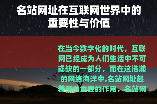 名站网址在互联网世界中的重要性与价值