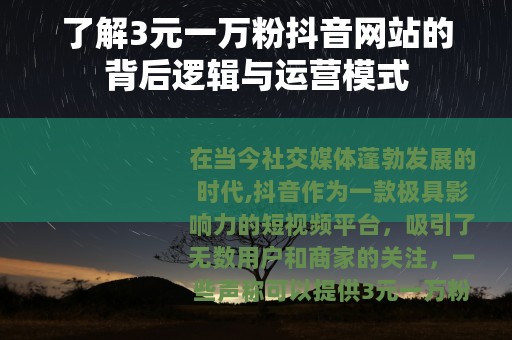 了解3元一万粉抖音网站的背后逻辑与运营模式