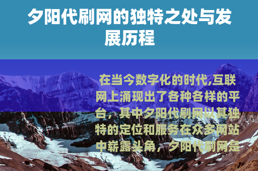 夕阳代刷网的独特之处与发展历程