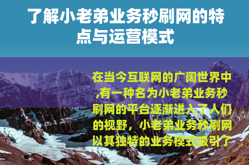 了解小老弟业务秒刷网的特点与运营模式
