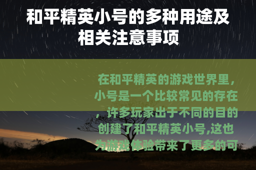 和平精英小号的多种用途及相关注意事项