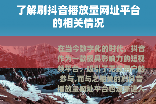 了解刷抖音播放量网址平台的相关情况