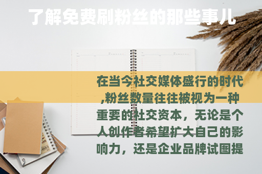 了解免费刷粉丝的那些事儿