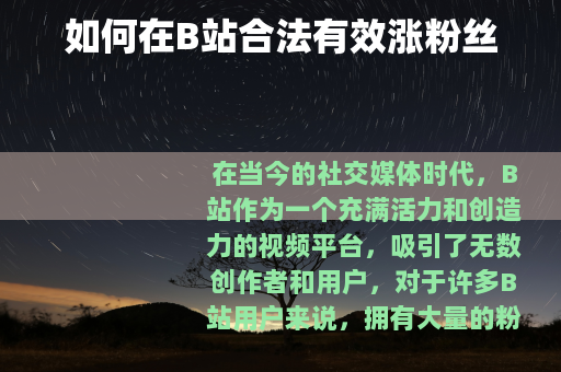 如何在B站合法有效涨粉丝