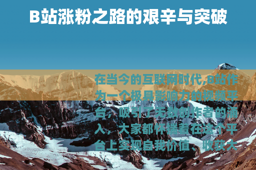 B站涨粉之路的艰辛与突破