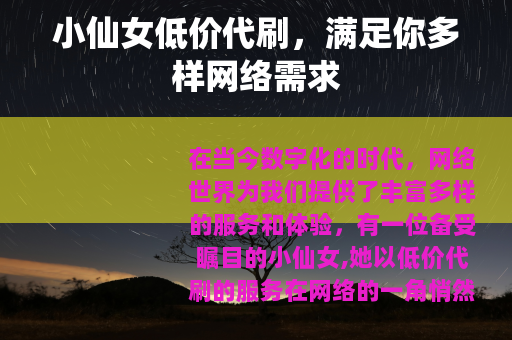 小仙女低价代刷，满足你多样网络需求