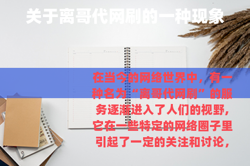 关于离哥代网刷的一种现象