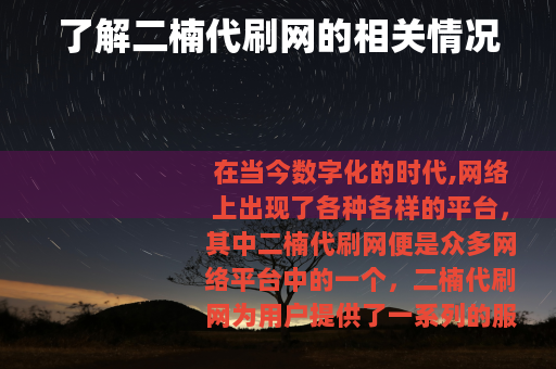 了解二楠代刷网的相关情况