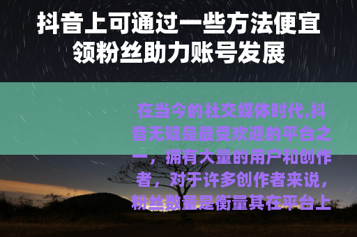 抖音上可通过一些方法便宜领粉丝助力账号发展