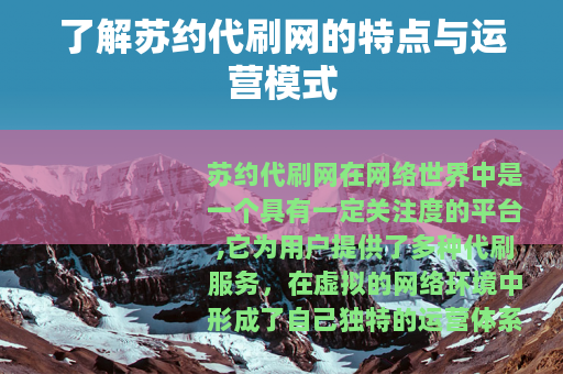 了解苏约代刷网的特点与运营模式