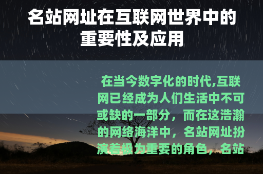 名站网址在互联网世界中的重要性及应用