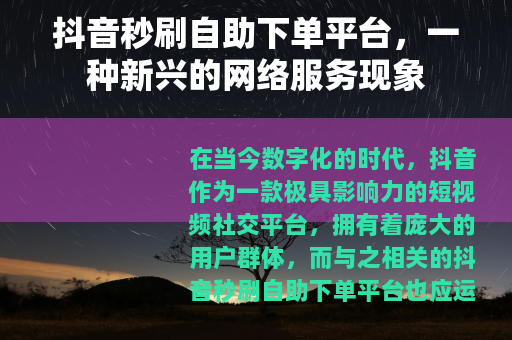 抖音秒刷自助下单平台，一种新兴的网络服务现象
