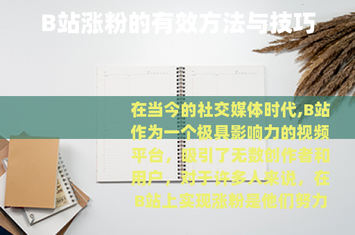 B站涨粉的有效方法与技巧