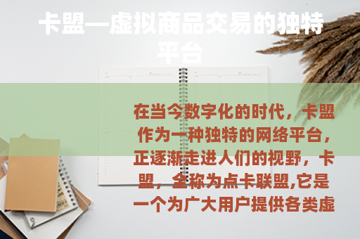 卡盟—虚拟商品交易的独特平台