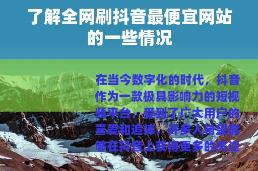 了解全网刷抖音最便宜网站的一些情况
