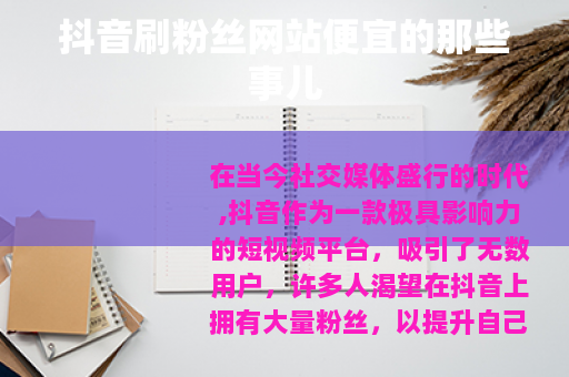 抖音刷粉丝网站便宜的那些事儿