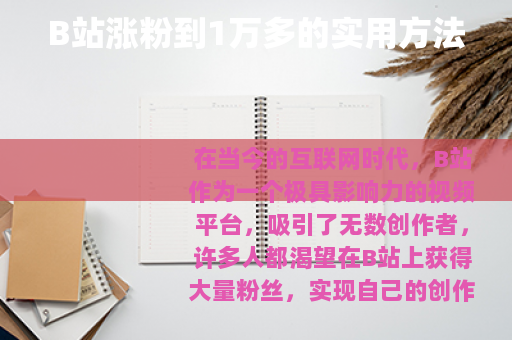 B站涨粉到1万多的实用方法