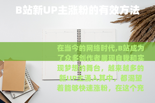 B站新UP主涨粉的有效方法