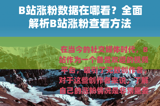 B站涨粉数据在哪看？全面解析B站涨粉查看方法