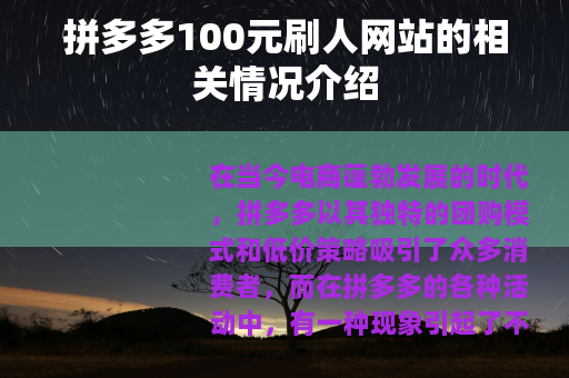 拼多多100元刷人网站的相关情况介绍